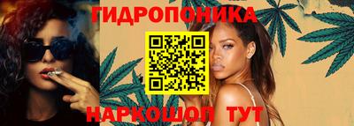 шишки Бузулук