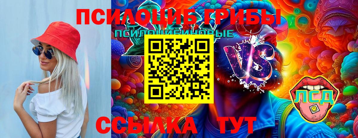 Тольятти  Псилоцибиновые грибы прущие грибы  Вход с VPN 